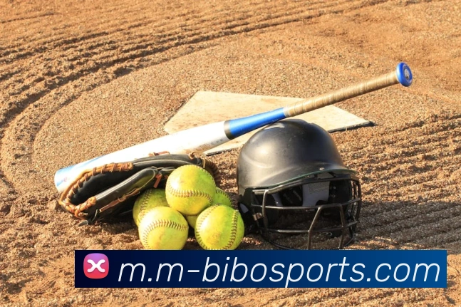 App Interface Preview