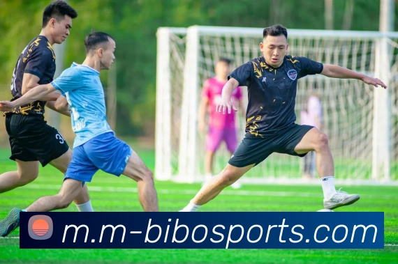 体育下注APP 封面图